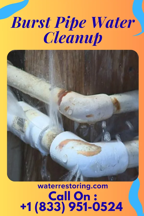Burst Pipe Water Cleanup in Coal City, IL