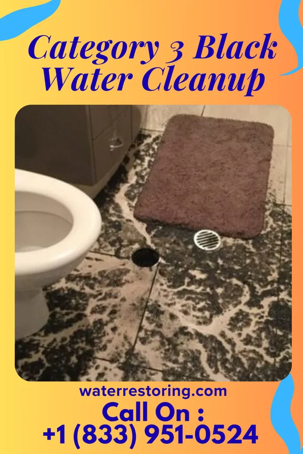 Category 3 Black Water Cleanup in Coal City, IL
