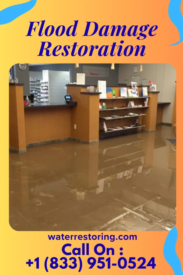 Flood Damage Restoration in Coal City, IL